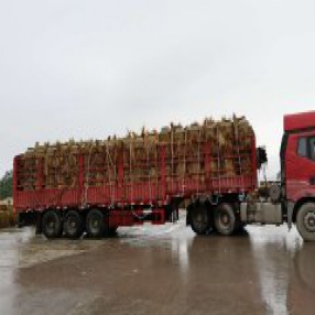 内蒙古客户订购2000斤土陶酒坛50个